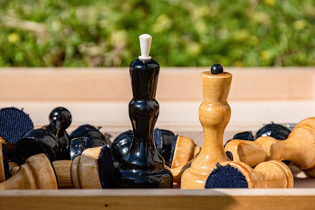 后续展望 后续展望