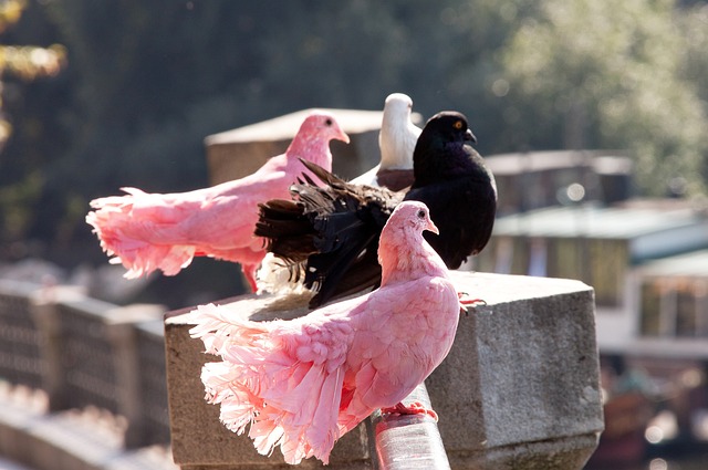 与执行力 与执行力