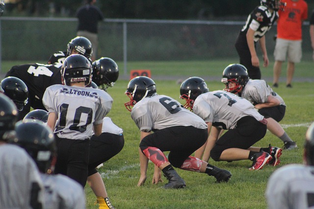 实力的结合 实力的结合