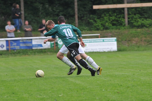 不仅延续了 不仅延续了